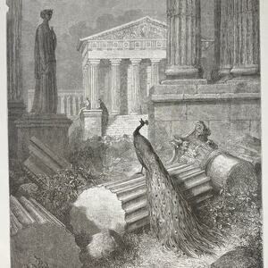 Gustave Dore, Fables, Peacock, Miller, Print, Bookplate, Art, ~ 240706-WH 290